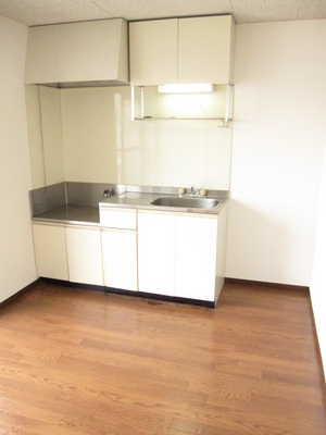 Kitchen. Gas stove is installed Allowed