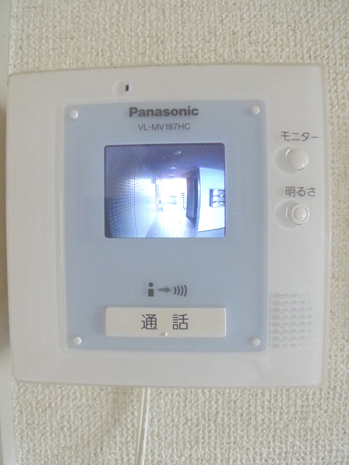 Security. TV monitor phone