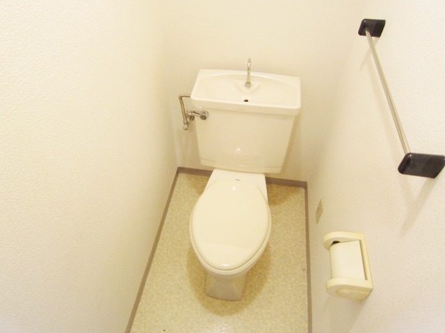 Toilet. It contains the beautifully clean before occupancy.