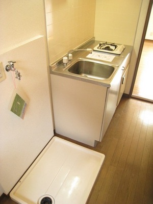 Kitchen. Washing machine in the room equipped!