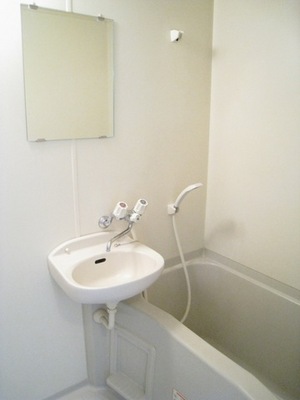 Bath. Cleaning Easy in the two-point