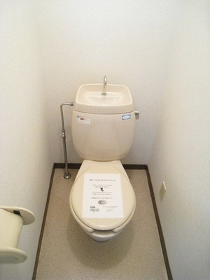 Toilet. Toilet with cleanliness