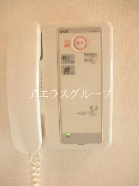 Security. Cope with sudden visitor