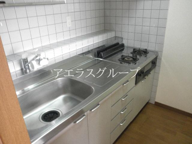 Kitchen. System kitchen there is a margin of cooking space the width of the dishes also spread