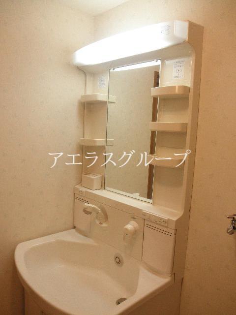 Washroom. Grooming check in the busy morning shampoo dresser also