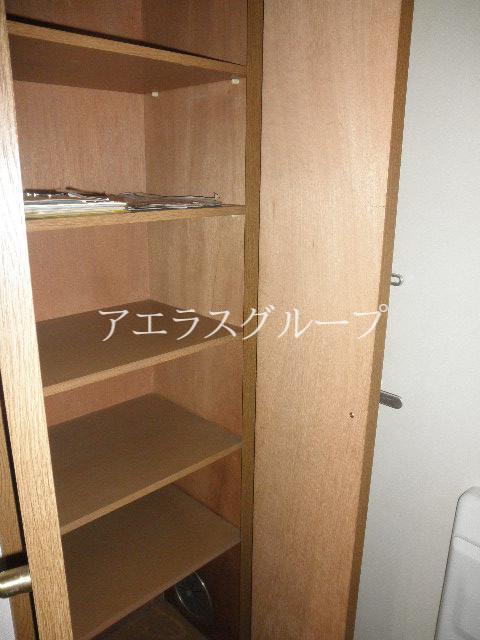 Entrance. Shoe box with a height