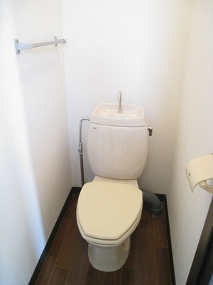 Toilet. There towel in the toilet