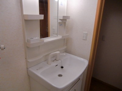 Washroom. Shampoo dresser