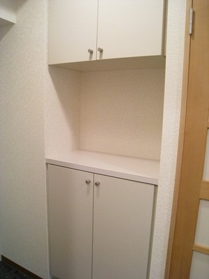 Entrance. Shoebox equipped in the front door