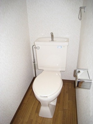 Toilet. Toilet with cleanliness