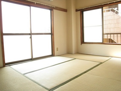 Living and room. It is a bright room with two-sided lighting