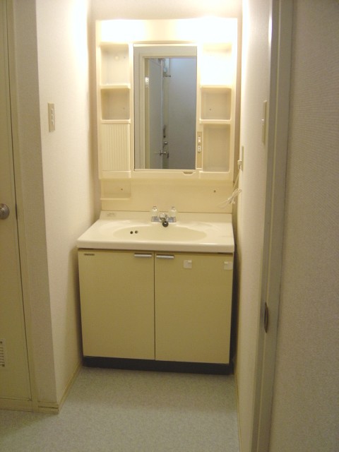 Washroom. Bathroom vanity