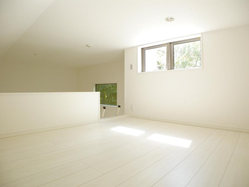 Local appearance photo. Loft construction cases (same specifications)