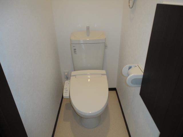 Toilet. Room (August 2013) Shooting