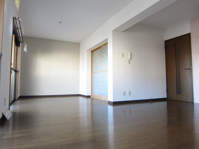 Living and room. South-facing sunny! Bright living room