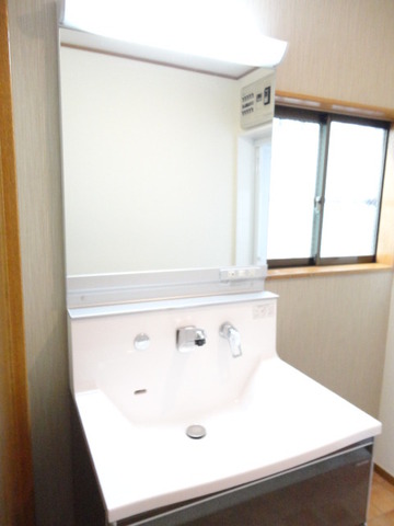 Washroom. Bathroom vanity