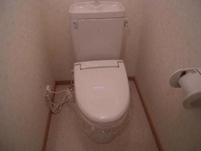 Toilet. Toilet
