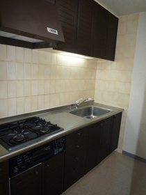 Kitchen. 3-burner stove + grill kitchen