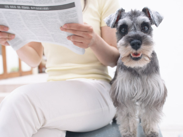 Other.  [Apartment life to live with pets] You can also live with cute pet. The foot washing place to clean the foot to walk the way home was provided in the site. (Bylaws have) ※ Published photograph of is an example of a pet frog.