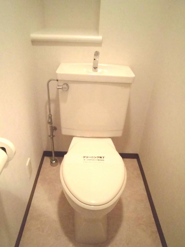 Toilet