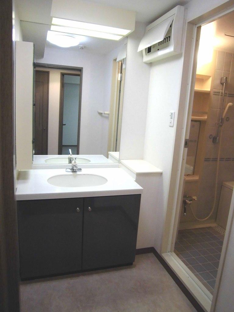 Wash basin, toilet