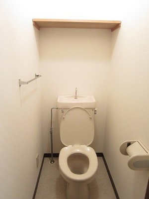 Toilet. There is space put the things necessary to the toilet