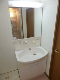 Washroom. Shampoo is vanity