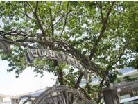 kindergarten ・ Nursery. Nishikawaguchi kindergarten (kindergarten ・ 634m to the nursery)