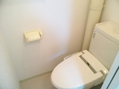 Toilet. Clean in the bidet ☆