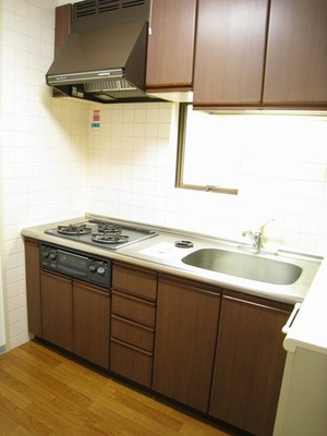 Kitchen. Unnecessary purchase with a 3-burner stove!