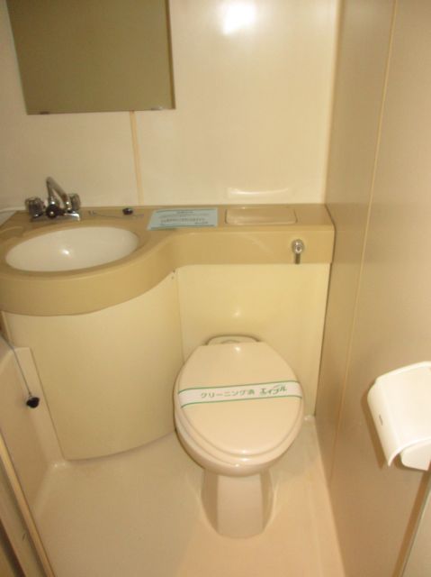 Toilet. Spacious toilet