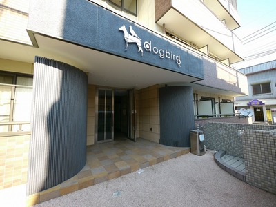 Other. 10m to the entrance (Other)