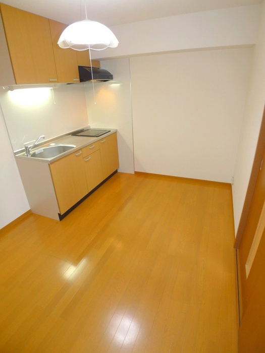 Other. Popular IH kitchen