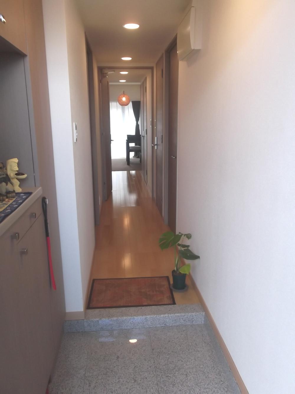 Other introspection. Entrance