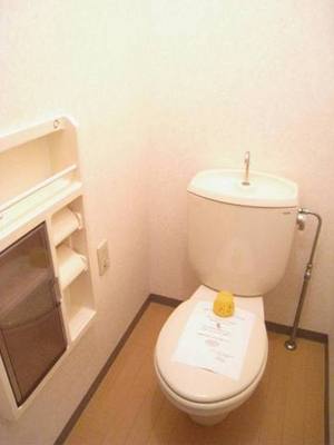 Toilet. Small pat storage