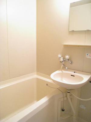 Bath. Bus toilet by! Happy with mirror