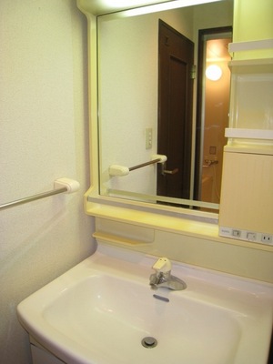 Washroom. Functional wash basin