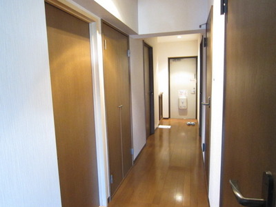 Entrance. Lighting a lot of bright hallway