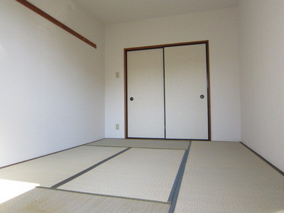 Living and room. Bright Japanese-style room facing the balcony