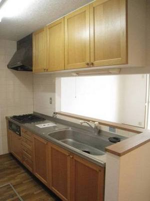 Kitchen. System kitchen