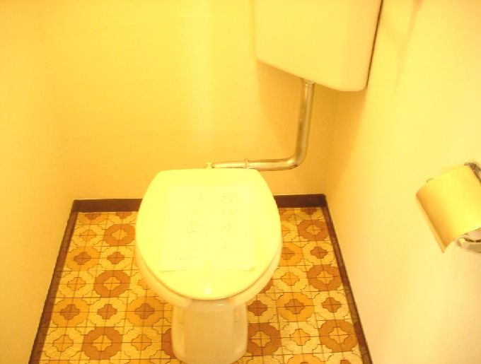 Toilet. Cleaning went arrived water around.