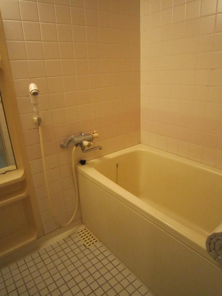 Bathroom. Indoor (05 May 2013) Shooting