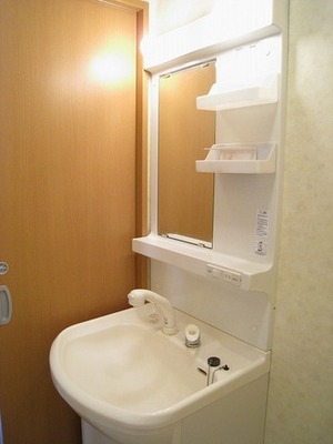 Washroom. Shampoo dresser
