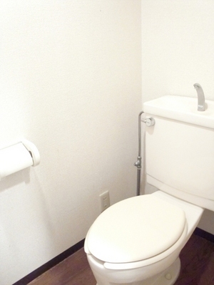 Toilet. Bath and toilet is a separate room