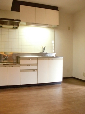 Kitchen. Easy-to-use single-lever