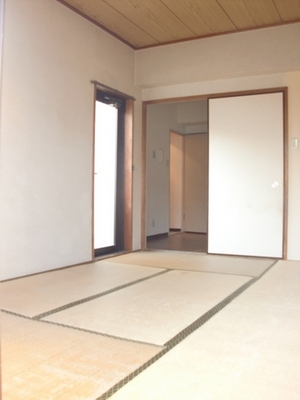 Living and room. Bright living room with two-sided lighting