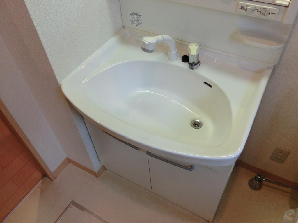 Other. Popular shampoo dresser women.