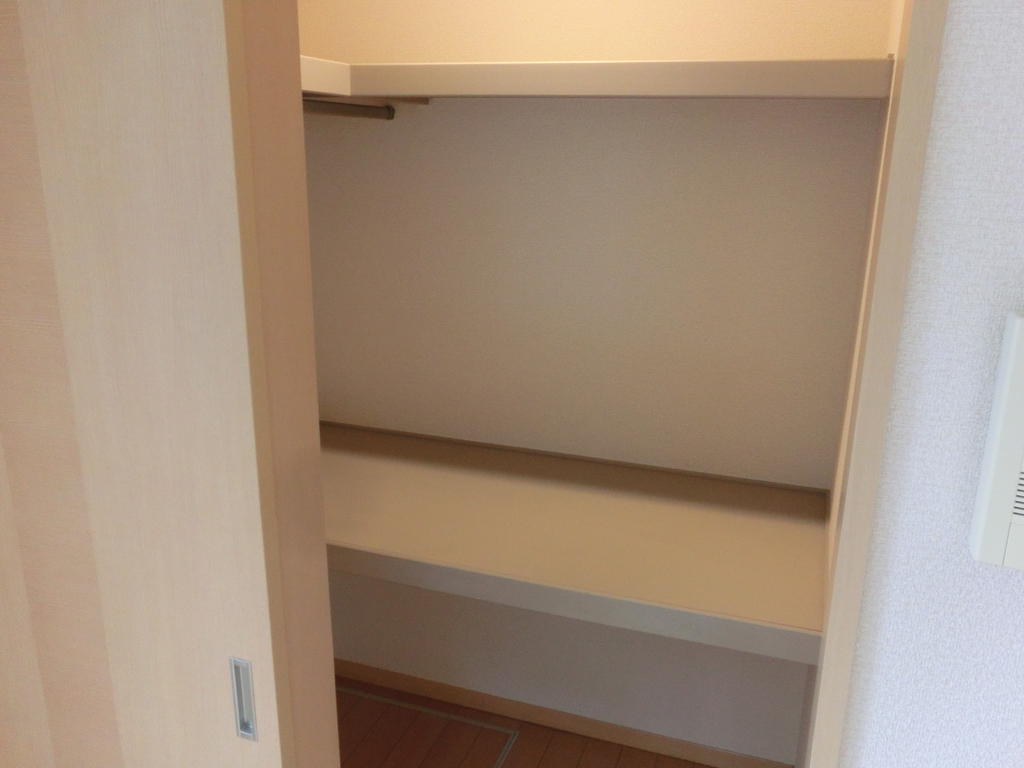 Other. There is storage capacity in a walk-in closet.