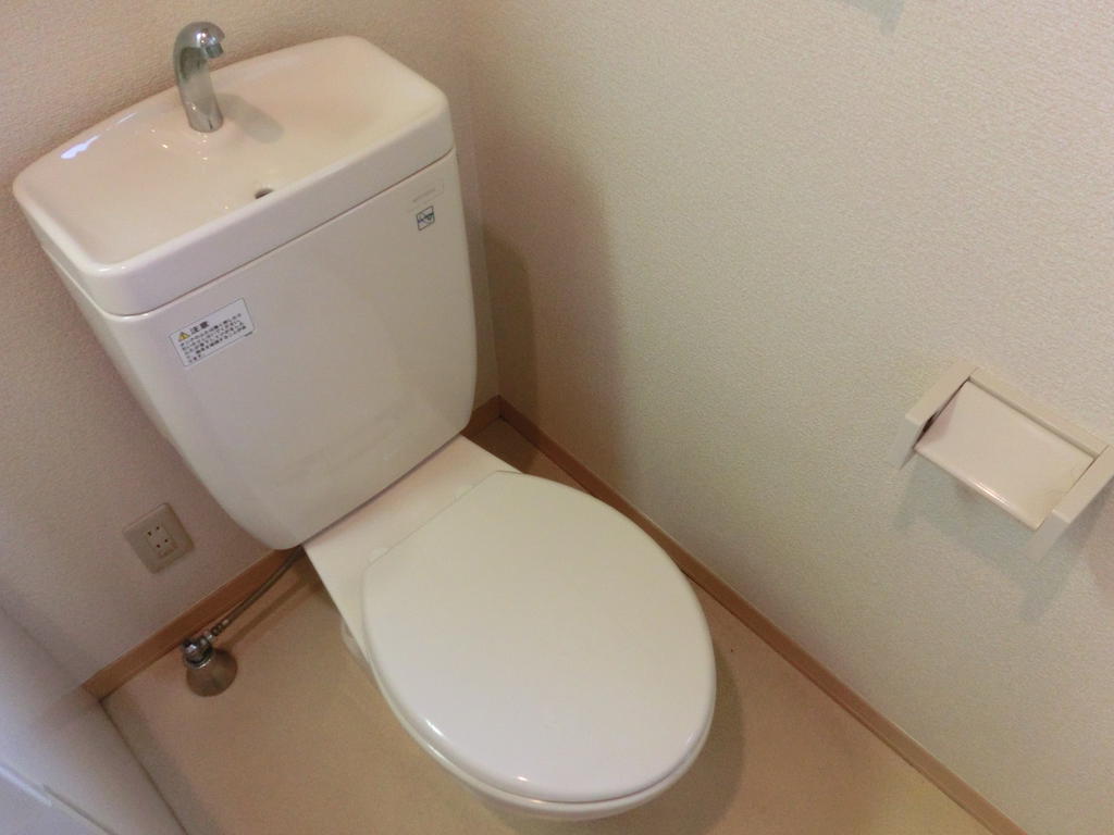 Other. Toilet with cleanliness.