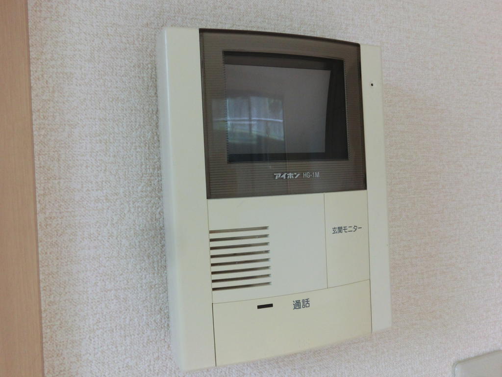 Other. Women peace of mind in the TV monitor phone.